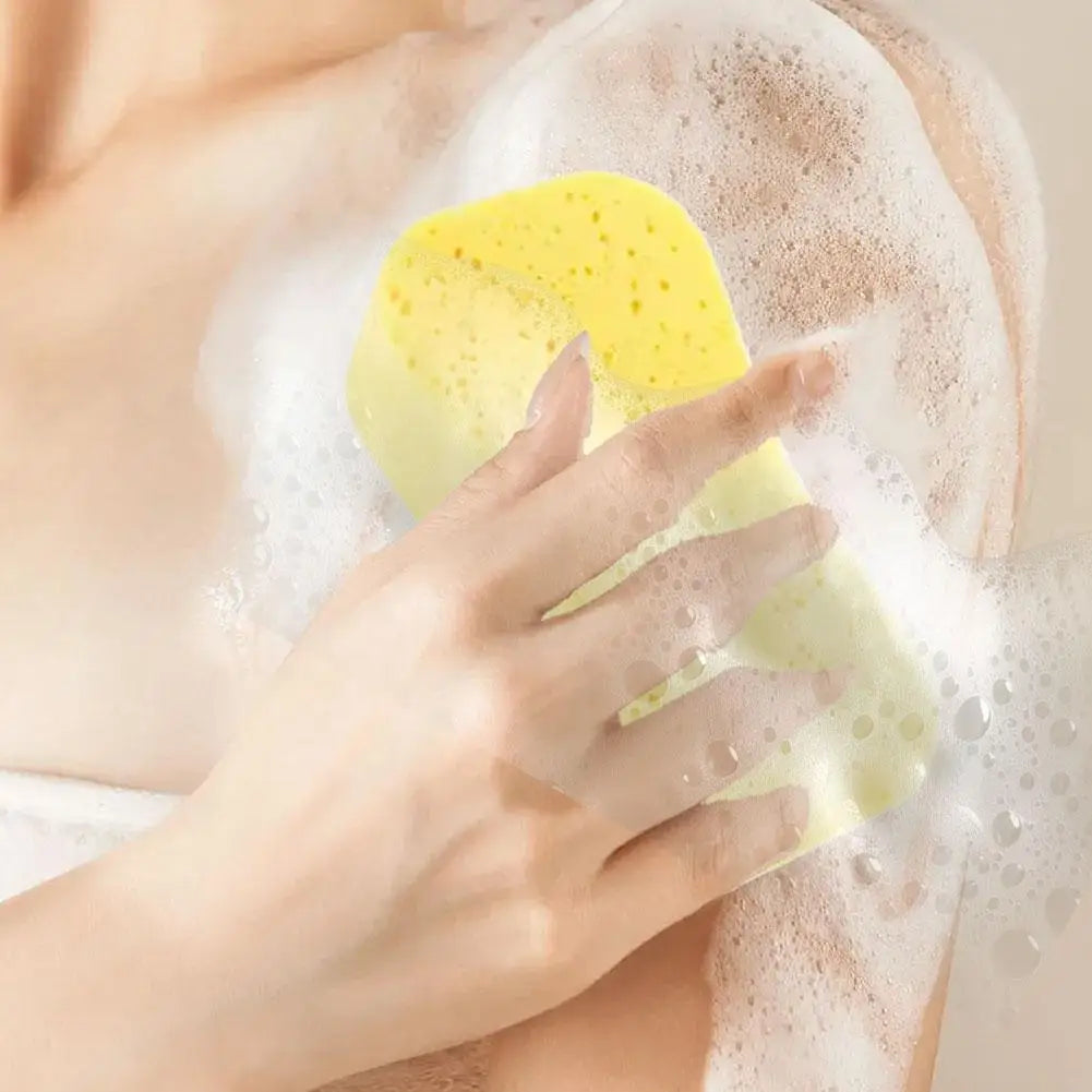 Car Wash Sponge Set