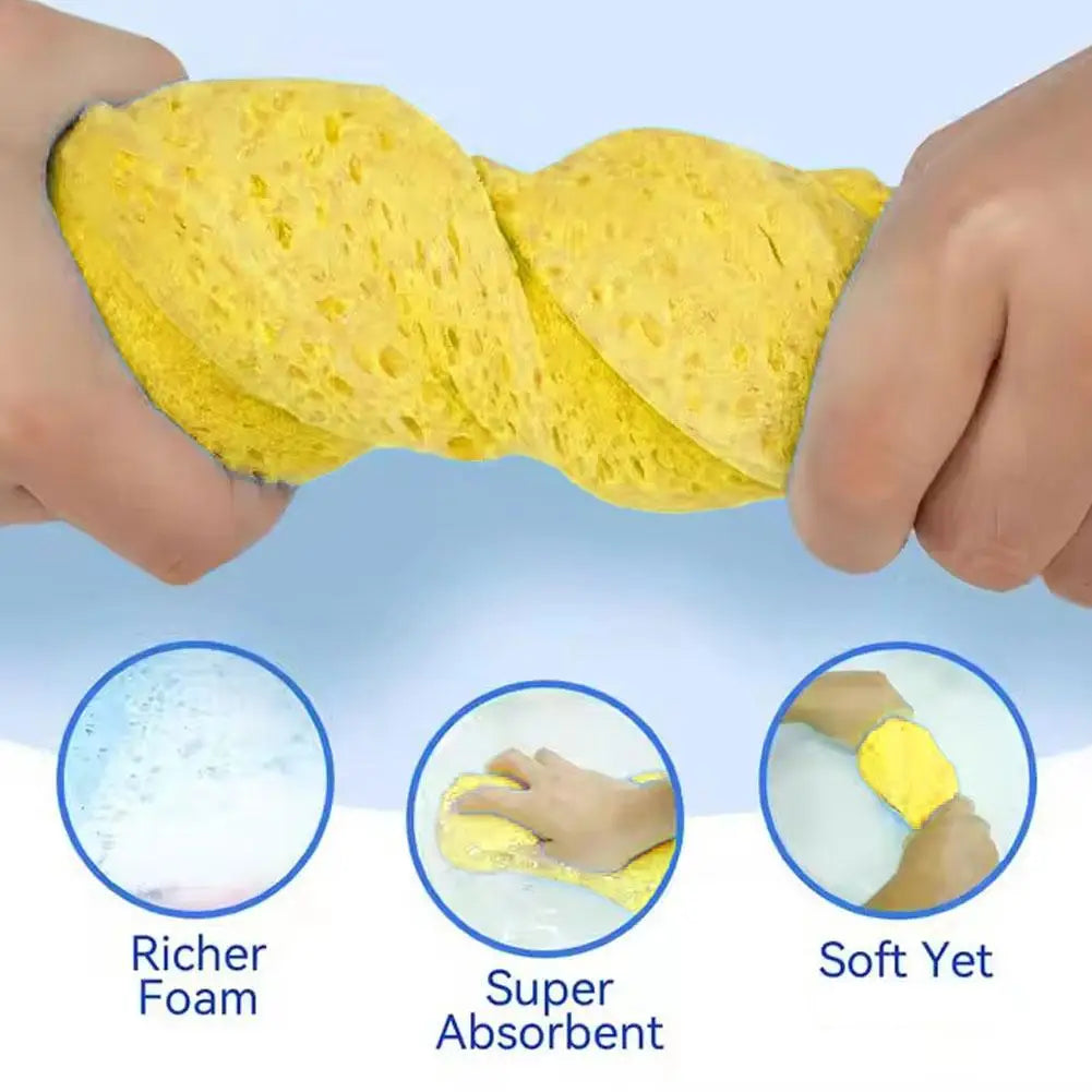 Car Wash Sponge Set