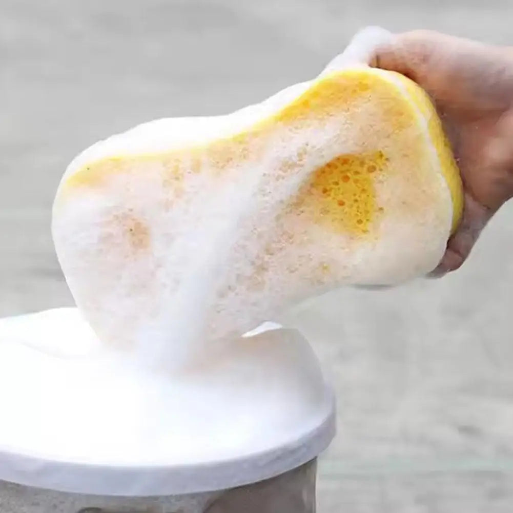 Car Wash Sponge Set