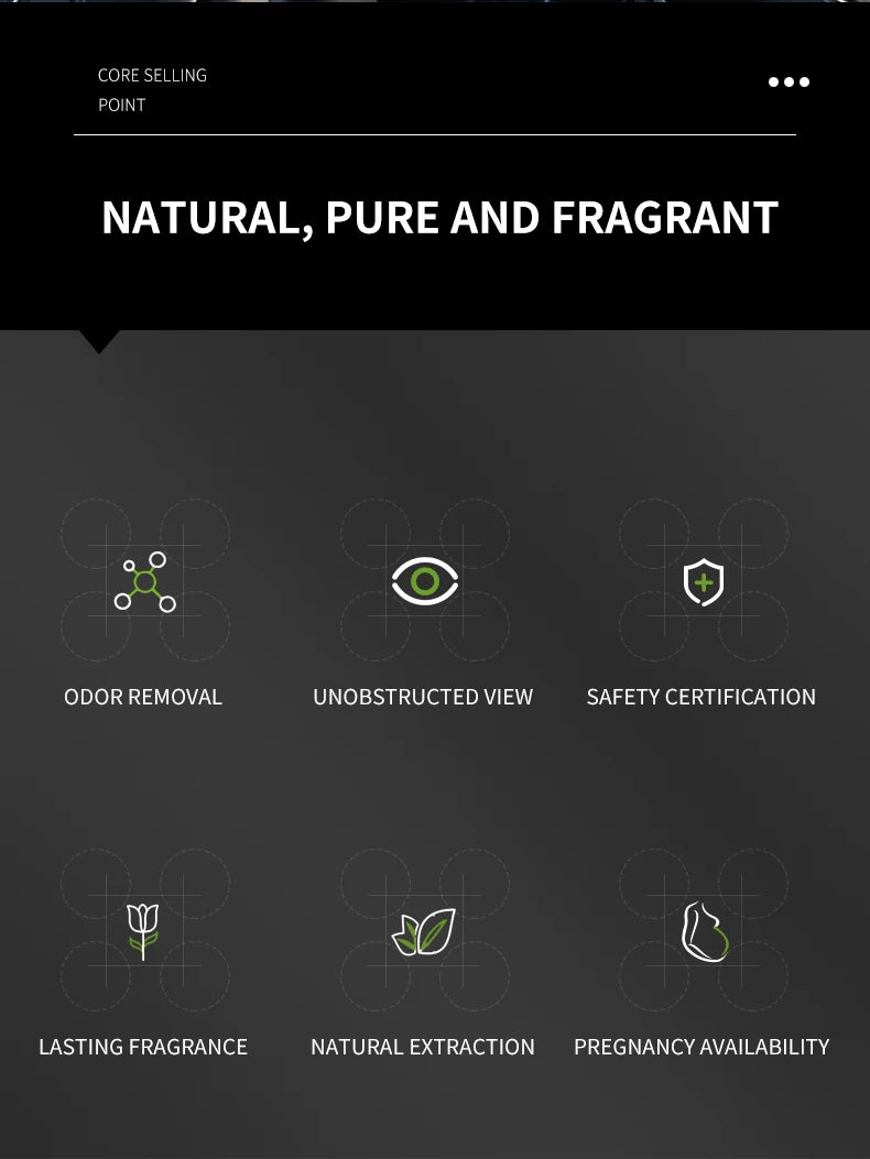 Car Interior Perfume