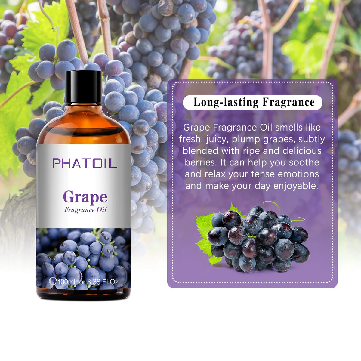 PHATOIL Aromatherapy Fragrance Oil 100ml