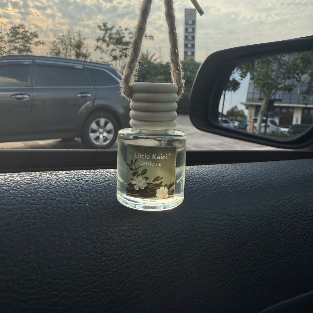60 Day Car Aroma Diffuser